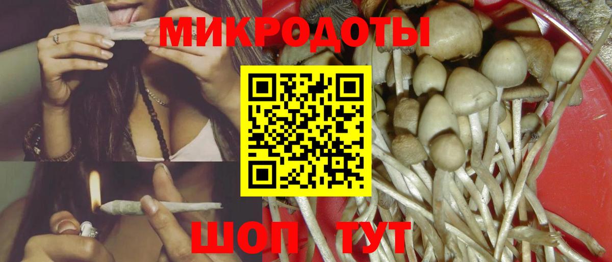 Галлюциногенные грибы мухоморы Керчь