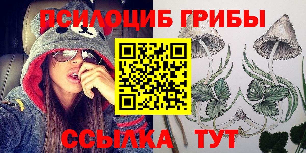 Керчь  Псилоцибиновые грибы Cubensis  Вход с VPN 